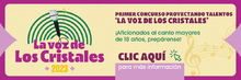 Banner Proyectando Talento - Cristales