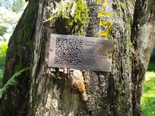 Nuevo reconocimiento a la Red de Bosques Urbanos de Cali