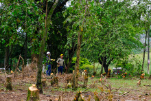 Avanza adecuaci&oacute;n de terreno donde se construir&aacute; nuevo parque de huertas urbanas