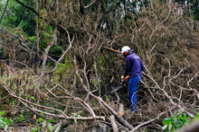 Avanza adecuaci&oacute;n de terreno donde se construir&aacute; nuevo parque de huertas urbanas