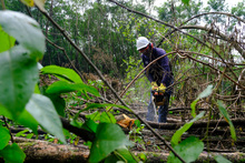 Avanza adecuaci&oacute;n de terreno donde se construir&aacute; nuevo parque de huertas urbanas