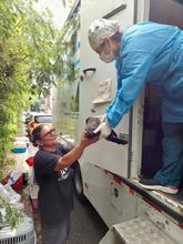 Unidad de Protecci&oacute;n Animal realiza control a colonias de gatos