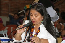 Pol&iacute;tica P&uacute;blica para Comunidades Ind&iacute;genas se construye mediante di&aacute;logo y concertaci&oacute;n