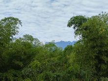 &lsquo;Coraz&oacute;n de Pance&rsquo;: puerta de entrada a Los Farallones de Cali