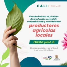 Participa de la convocatoria para fortalecer el ecosistema de Econom&iacute;a Circular de Cali