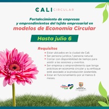 Participa de la convocatoria para fortalecer el ecosistema de Econom&iacute;a Circular de Cali