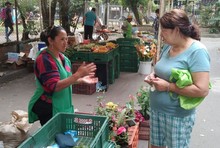 Las mujeres berracas de los &lsquo;Mercados Campesinos&rsquo;: mezcla perfecta de razas, sabores, colores y saberes