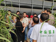 Con la &lsquo;hierba de la felicidad&rsquo;, el Dagma impulsar&aacute; la producci&oacute;n de alimentos