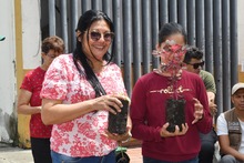 Comuna 7 aprovech&oacute; la oferta ambiental   de &lsquo;Dagma al Barrio&rsquo;