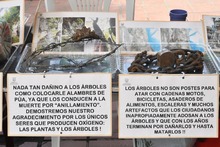 Comuna 7 aprovech&oacute; la oferta ambiental   de &lsquo;Dagma al Barrio&rsquo;