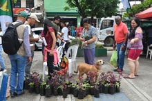 Comuna 7 aprovech&oacute; la oferta ambiental   de &lsquo;Dagma al Barrio&rsquo;