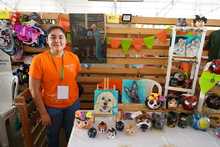 S&eacute;ptima versi&oacute;n de la Animalt&oacute;n