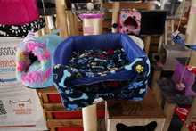 S&eacute;ptima versi&oacute;n de la Animalt&oacute;n