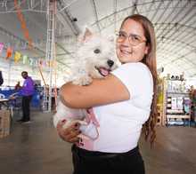 S&eacute;ptima versi&oacute;n de la Animalt&oacute;n