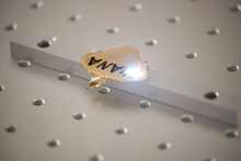 S&eacute;ptima versi&oacute;n de la Animalt&oacute;n