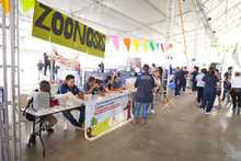 S&eacute;ptima versi&oacute;n de la Animalt&oacute;n