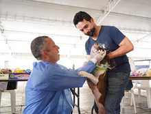 S&eacute;ptima versi&oacute;n de la Animalt&oacute;n