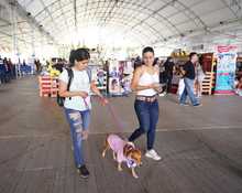 S&eacute;ptima versi&oacute;n de la Animalt&oacute;n