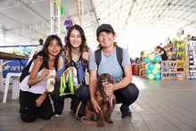 S&eacute;ptima versi&oacute;n de la Animalt&oacute;n