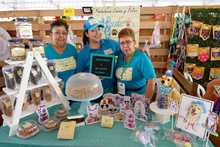 S&eacute;ptima versi&oacute;n de la Animalt&oacute;n