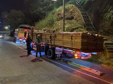 Contin&uacute;an operativos de vigilancia y control al tr&aacute;fico y transporte de madera