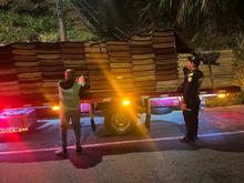 Contin&uacute;an operativos de vigilancia y control al tr&aacute;fico y transporte de madera