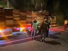 Contin&uacute;an operativos de vigilancia y control al tr&aacute;fico y transporte de madera