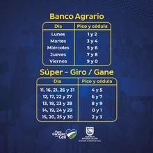 Iniciaron los pagos para familias del programa Tr&aacute;nsito a Renta Ciudadana