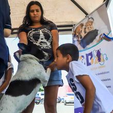 Animales del barrio El Piloto recibieron atenci&oacute;n en su espacio
