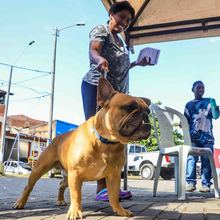 Animales del barrio El Piloto recibieron atenci&oacute;n en su espacio