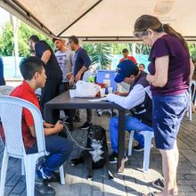 Animales del barrio El Piloto recibieron atenci&oacute;n en su espacio