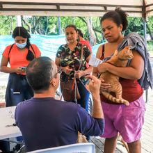 Animales del barrio El Piloto recibieron atenci&oacute;n en su espacio