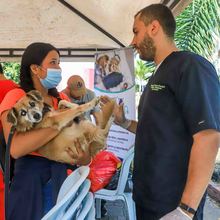 Animales del barrio El Piloto recibieron atenci&oacute;n en su espacio