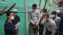Unidad de Atenci&oacute;n y Rescate de Fauna Silvestre est&aacute; activa en temporada seca