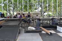 Millones de corazones latir&aacute;n durante una semana en el cumplea&ntilde;os 487 de Cali