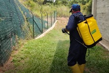 Centro de Bienestar Animal de Cali reabre sus servicios a la comunidad