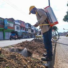 Una alameda multicolor adornar&aacute; al barrio Obrero
