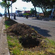 Una alameda multicolor adornar&aacute; al barrio Obrero