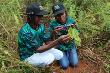 Todas y Todos a Estudiar le contribuye a Cali con trabajo social