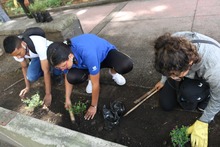Todas y Todos a Estudiar le contribuye a Cali con trabajo social