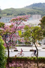 Inici&oacute; uno de los espect&aacute;culos naturales que m&aacute;s disfrutan cale&ntilde;os y cale&ntilde;as