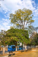 Inici&oacute; uno de los espect&aacute;culos naturales que m&aacute;s disfrutan cale&ntilde;os y cale&ntilde;as