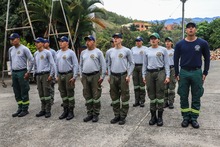 Brigada Forestal de los Bomberos de Cali est&aacute; lista para la acci&oacute;n