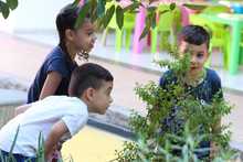 Primera infancia disfrutar&aacute; la celebraci&oacute;n del cumplea&ntilde;os de Cali