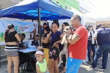 Alcald&iacute;a de Cali realiz&oacute; feria de servicios institucionales en la Comuna 15
