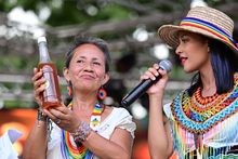 El Inti Raymi &acute;fiesta al Sol&acute; se celebra en las Canchas Panamericanas