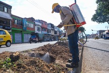 Barrio Sucre, comprometido con la renaturalizaci&oacute;n de su territorio