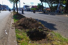 Barrio Sucre, comprometido con la renaturalizaci&oacute;n de su territorio