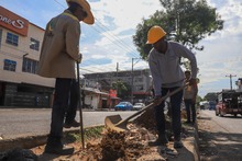 Barrio Sucre, comprometido con la renaturalizaci&oacute;n de su territorio