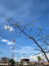 Se les acab&oacute; el berrinche a Linda y Leticia en el Bulevar de Oriente